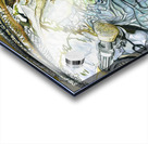 Lake Run Brownie Acrylic print