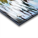 Trout Release Acrylic print