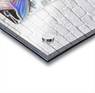 On the Loose Acrylic print