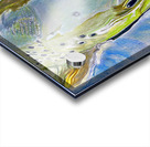 Number  239 Acrylic print