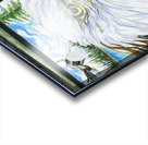 Ive Been Framed Impression Acrylique