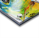 Peacock II Impression Acrylique