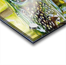 Pike II Acrylic print