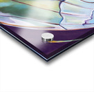 Blue Wing Acrylic print