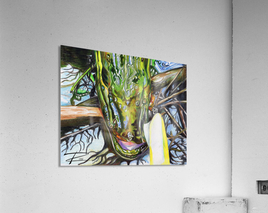 Pike V Impression acrylique