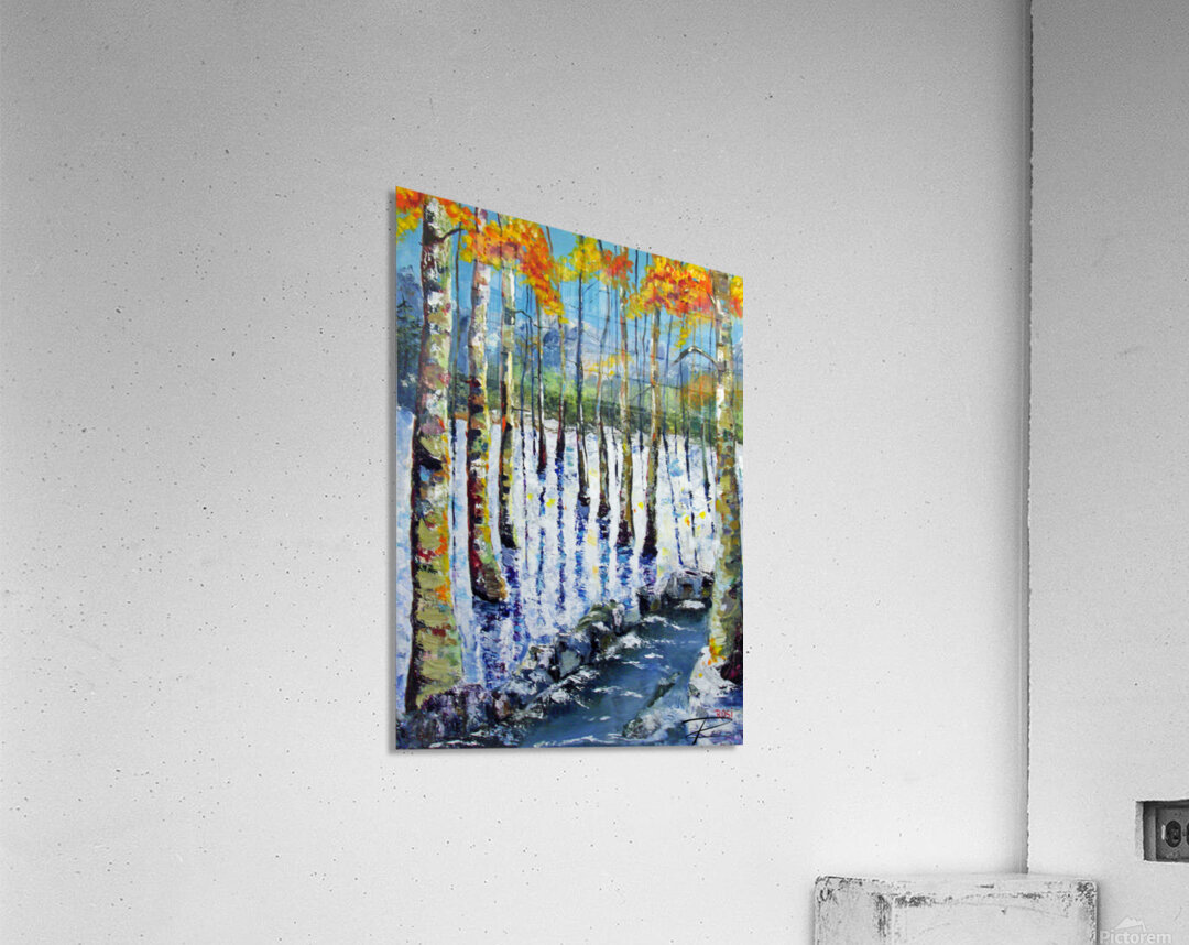 Rocky Creek Acrylic Print