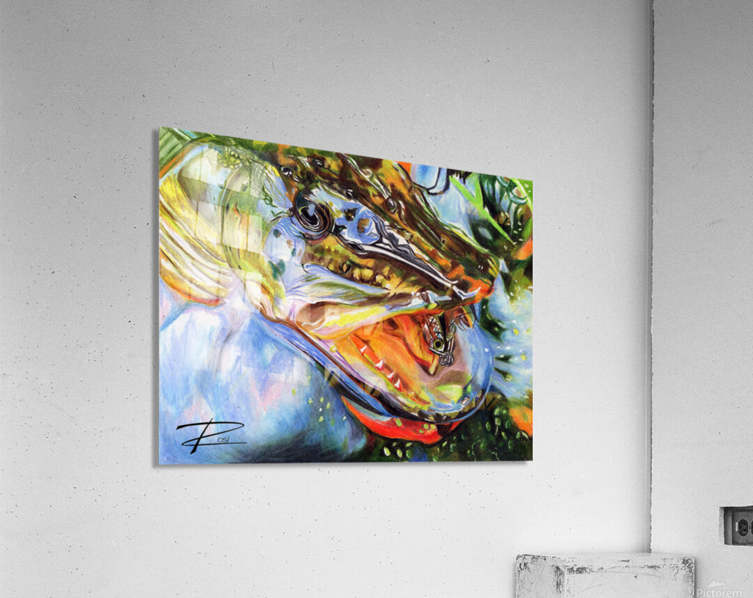 Pike with Lure II Acrylic Print
