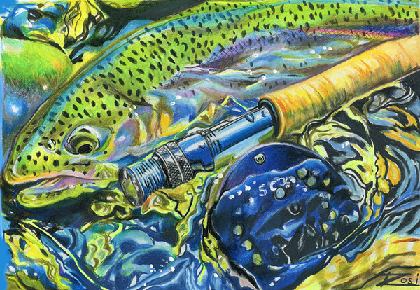 Rainbow Reflection Print