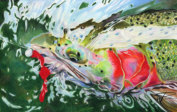 Scarlett O Steelhead Print