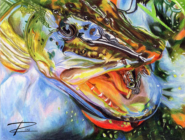 Pike with Lure II Print