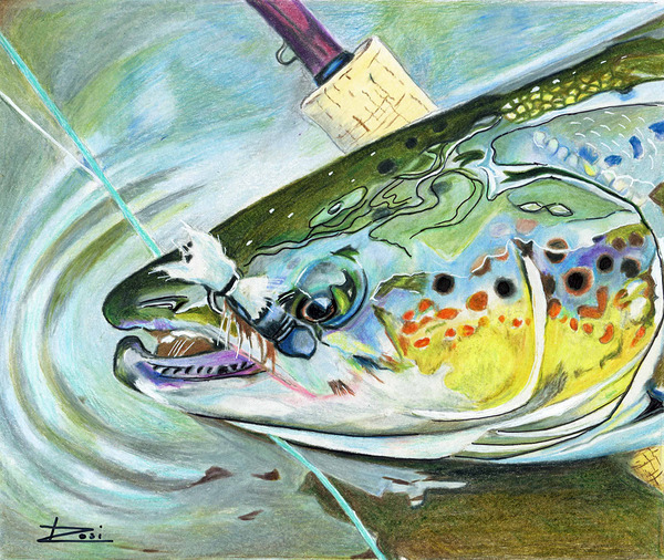 Atlantic Salmon Dry Fly Print