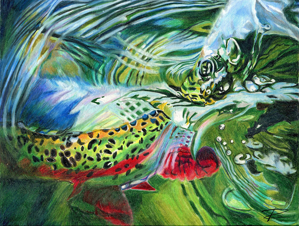 Rainbow Release Print