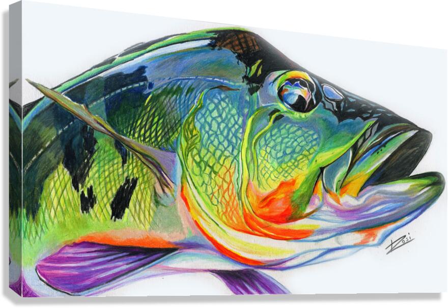 Peacock Bass Canvas Print