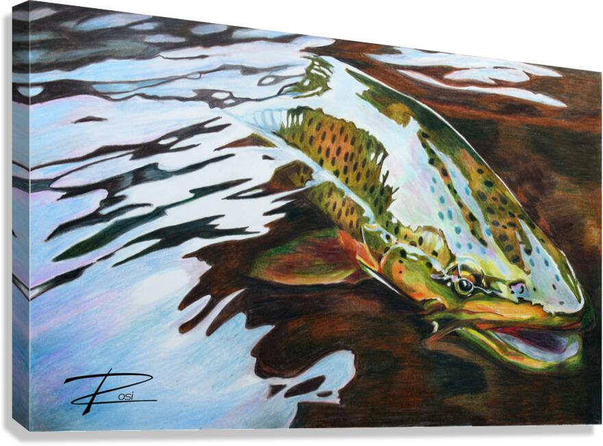 Trout Release Canvas Print