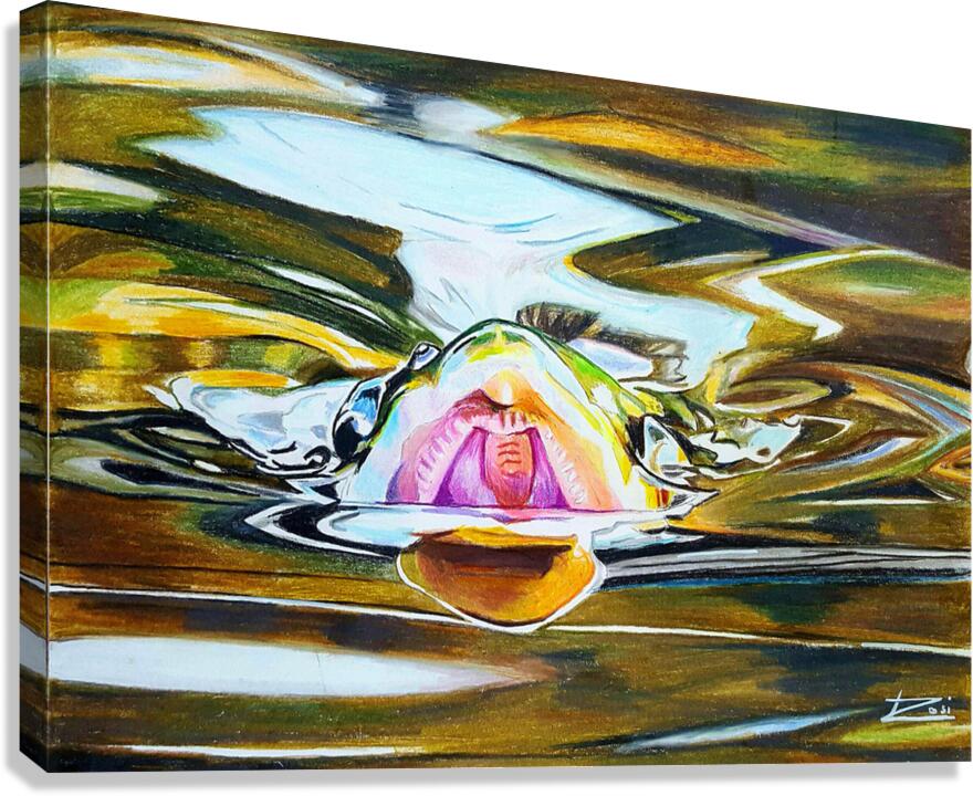 Looking for Flies Canvas Print