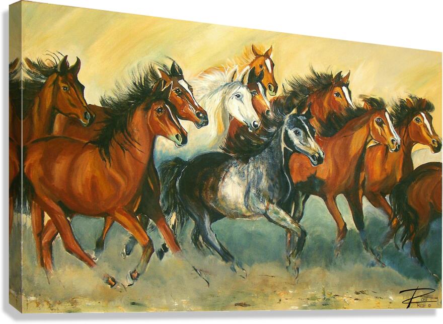 Stampede Canvas Print