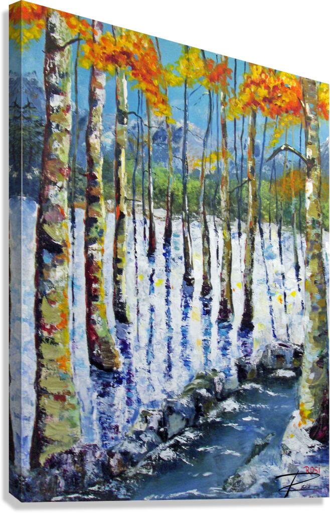 Rocky Creek Canvas Print