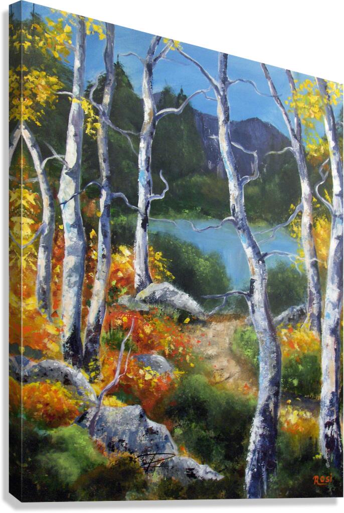 Enchanted Forest Canvas Print