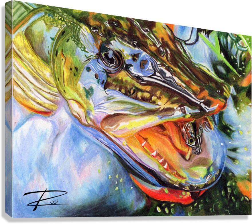 Pike with Lure II Canvas Print