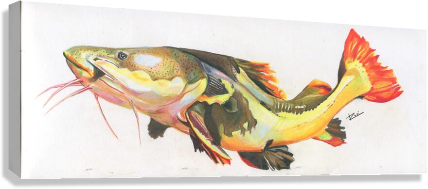 Red Tail Catfish II Canvas Print