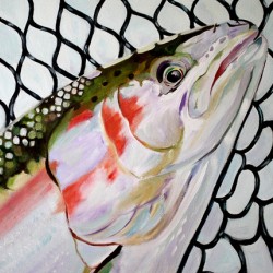 Netted Steelhead