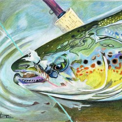 Atlantic Salmon Dry Fly