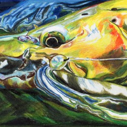 Brown Trout with Capt. Hook