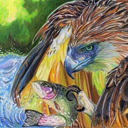 Under The Eagles Wings