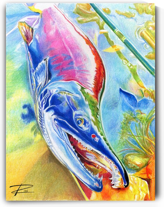 Kokanee by Rosi Oldenburg