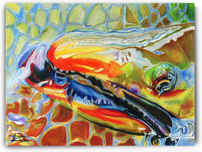 Dolly Varden II by Rosi Oldenburg