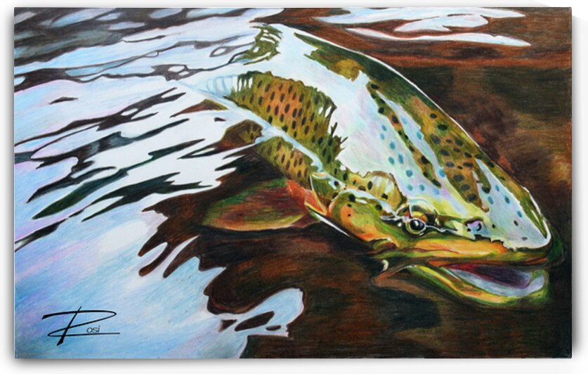 Trout Release by Rosi Oldenburg