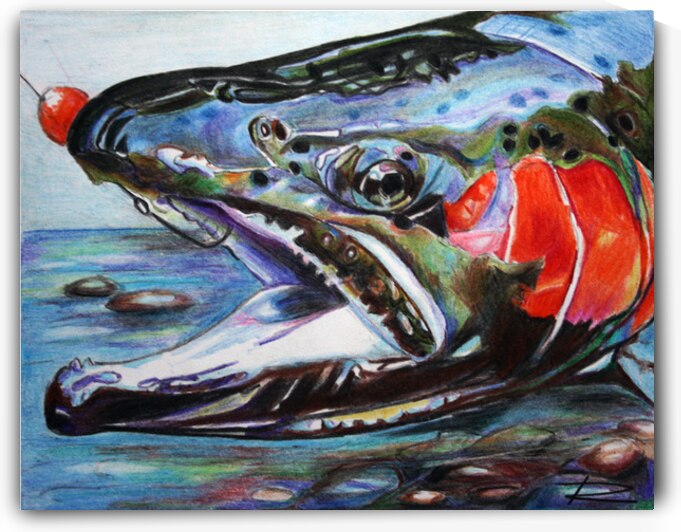 Hooked Steelhead by Rosi Oldenburg