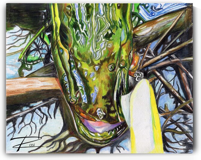 Pike V by Rosi Oldenburg