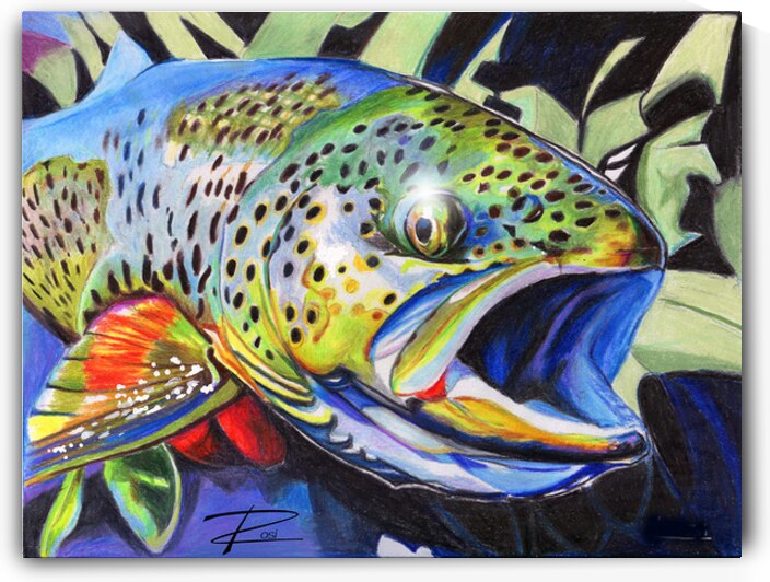 Rainbow by Rosi Oldenburg