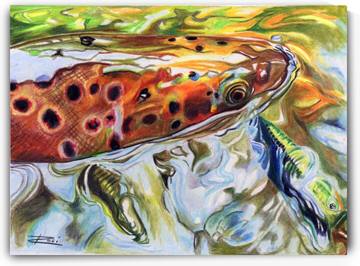 Brownie Hooked by Rosi Oldenburg