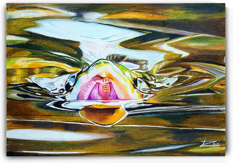 Looking for Flies by Rosi Oldenburg