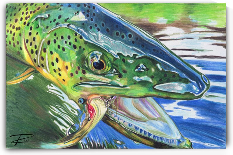 Hooked V  by Rosi Oldenburg