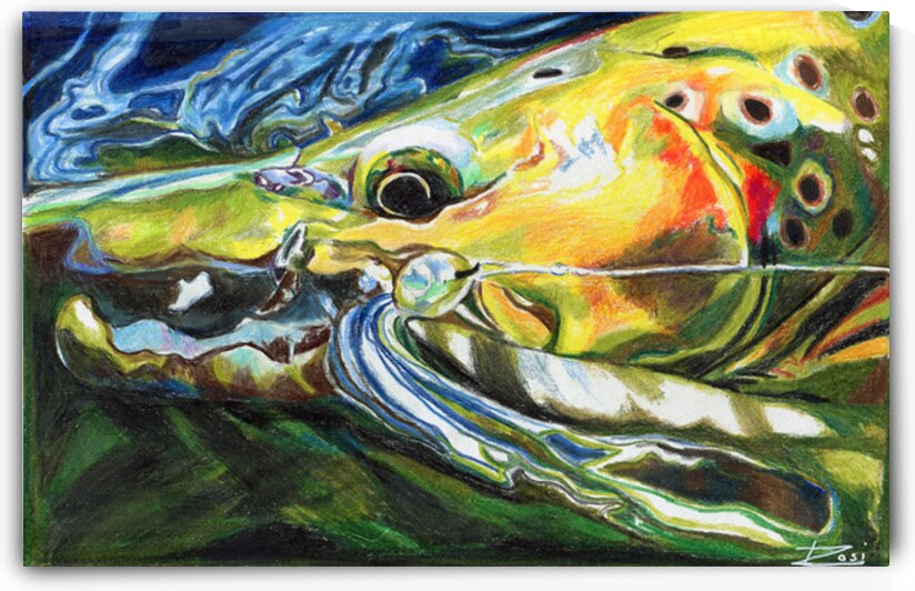 Brown Trout with Capt. Hook by Rosi Oldenburg