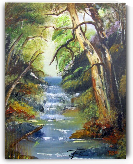 Shady Falls by Rosi Oldenburg