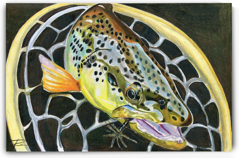 In The Net II by Rosi Oldenburg