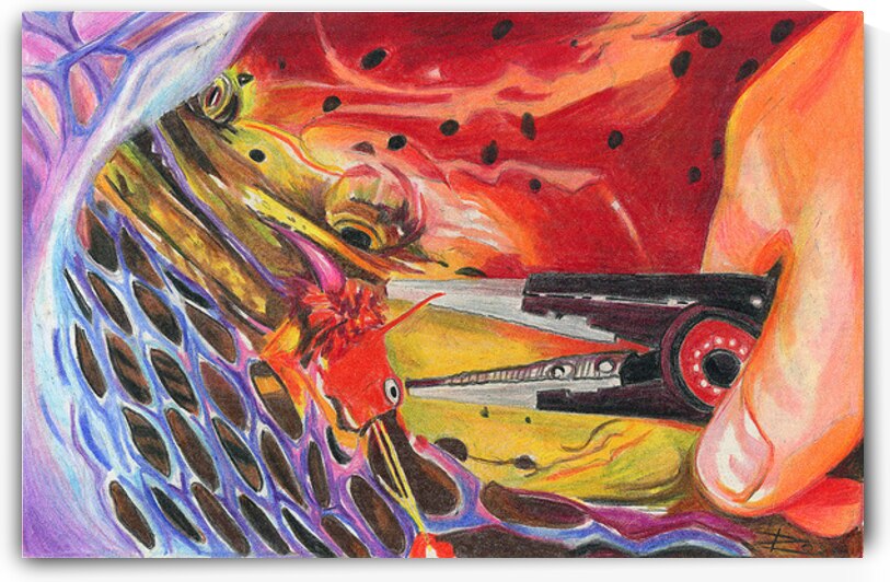 King Salmon in Net by Rosi Oldenburg