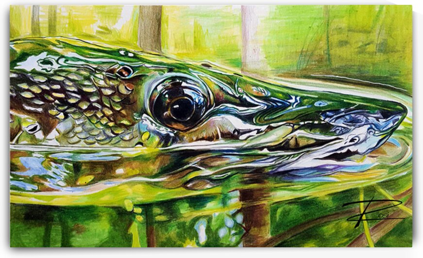 Pike II by Rosi Oldenburg