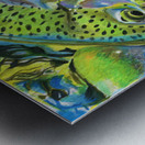 Rainbow Reflection Metal print