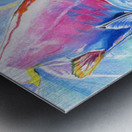 Kokanee Impression metal