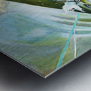 Atlantic Salmon Dry Fly Impression metal