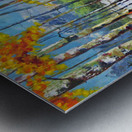 Rocky Creek Metal print