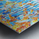 Aspen II Impression metal