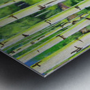Aspens 1 Metal print