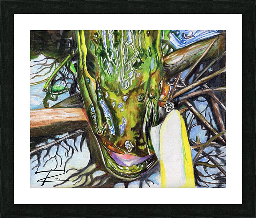 Pike V Impression et Cadre photo