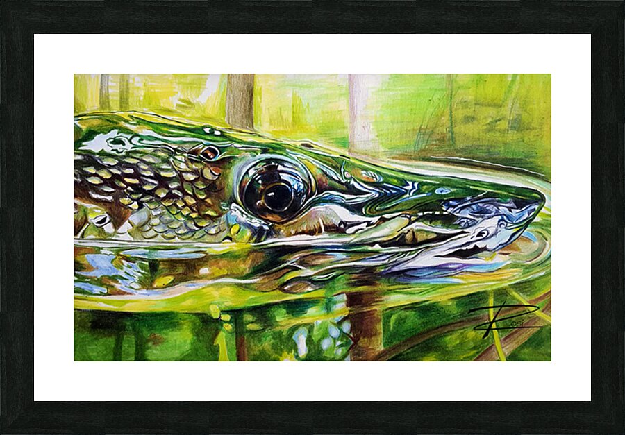 Pike II Picture Frame print